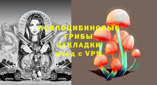 соль ск Карталы
