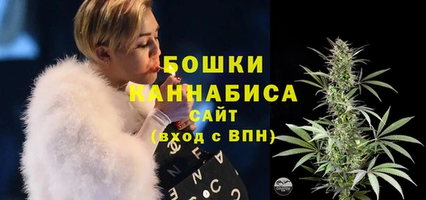 PSILOCYBIN Касимов