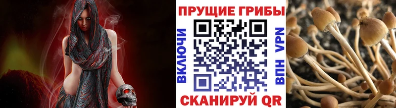 МЕГА вход Ульяновск Галлюциногенные грибы ЛСД